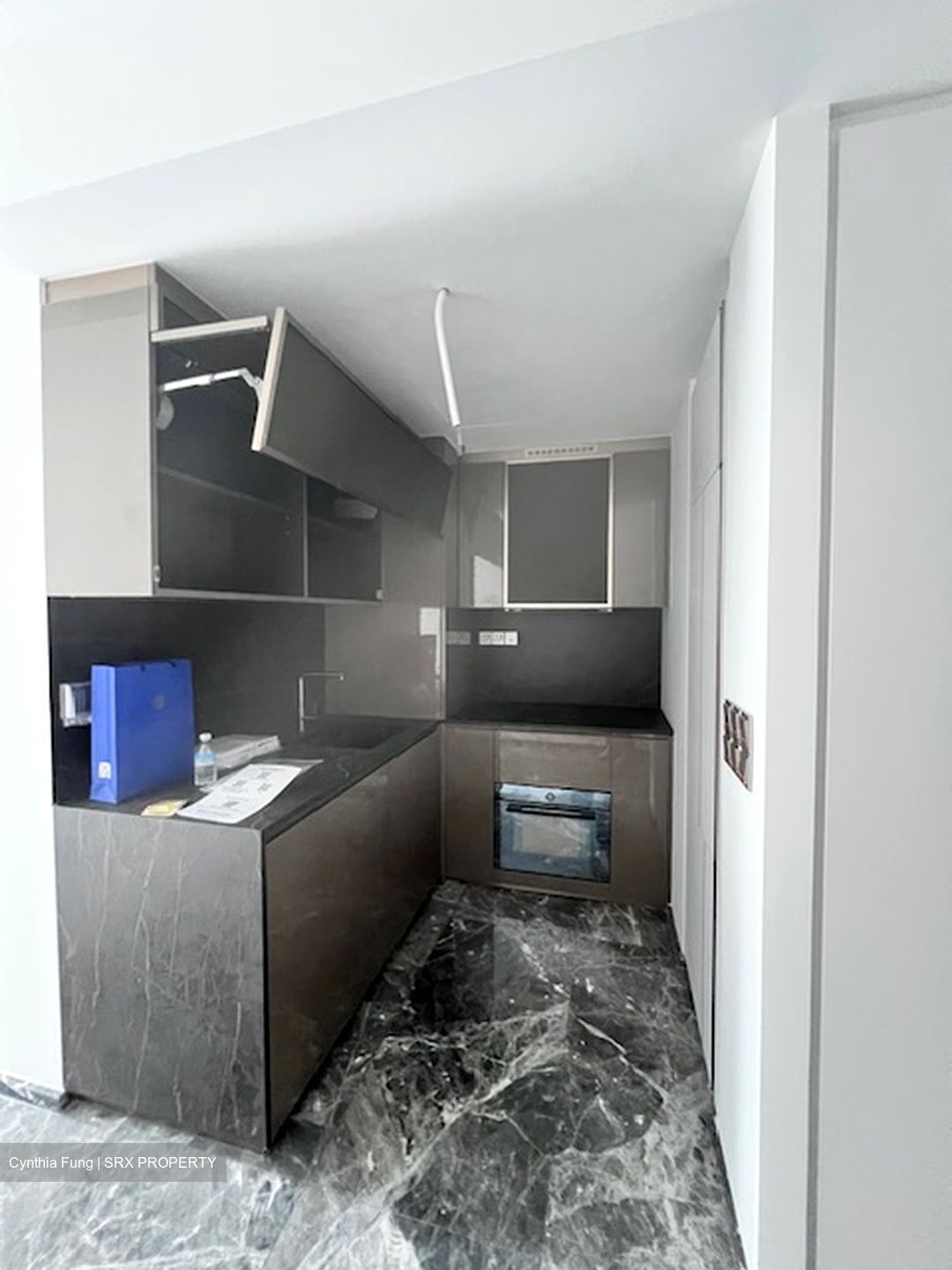 One Bernam (D2), Apartment #495556171